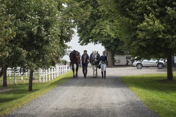 Exclusive-Horsewear-promenad