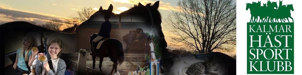 Exclusive Horsewear