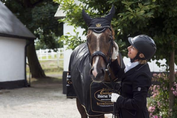 inspiration-exclusive-horsewear-7