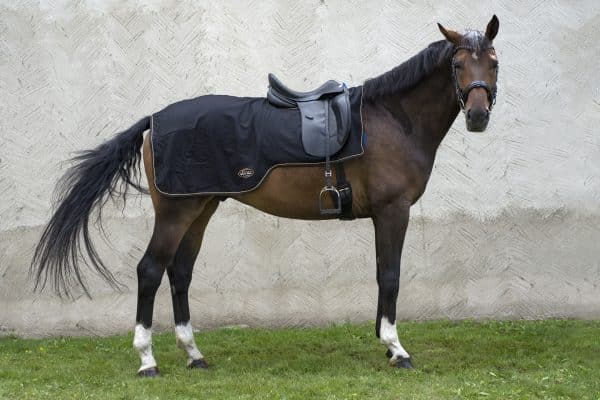 ridtacke-MONTENMEDIO-ull-Exclusive-Horsewear-svart