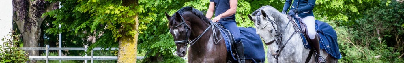 Exclusive Horsewear