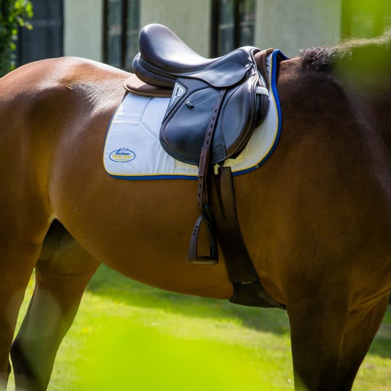 Exclusive Horsewear