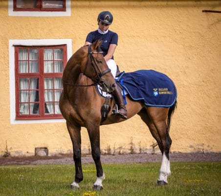 Exclusive Horseware på Björnöslott med Hallands Ridsportförbund 2