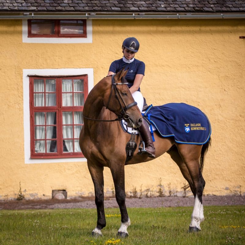 Exclusive Horsewear