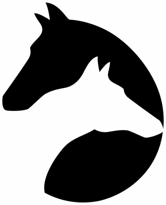 Exclusive Horsewear