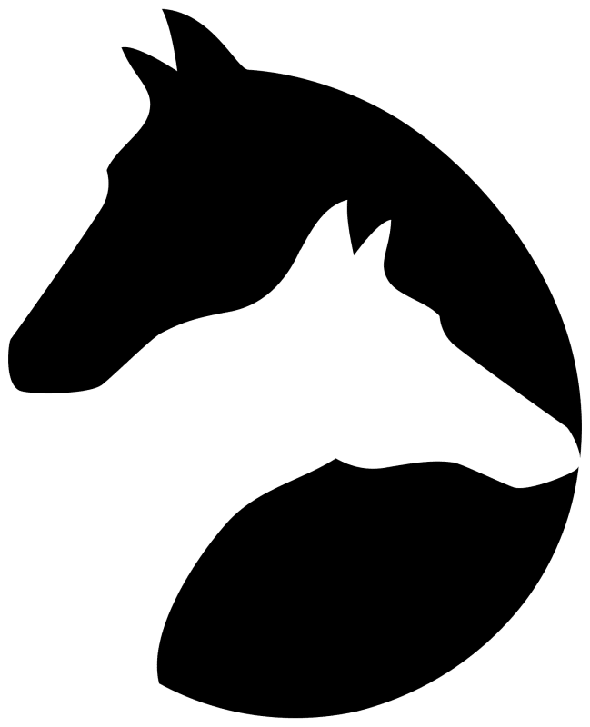 Exclusive Horsewear