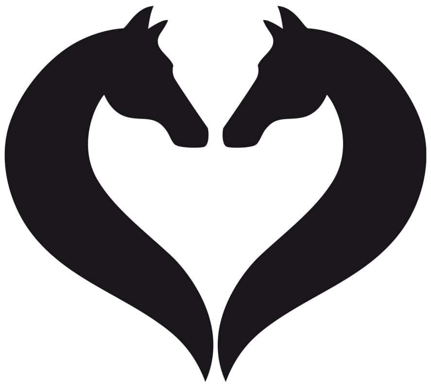 Exclusive Horsewear