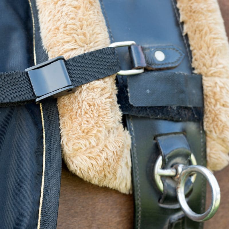 Exclusive Horsewear