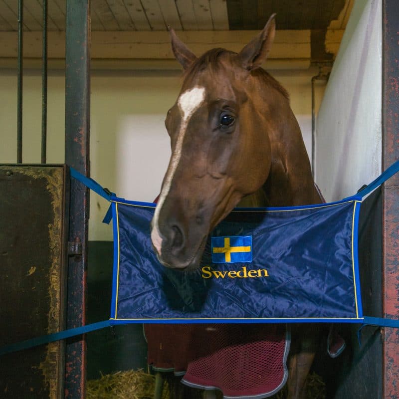 Exclusive Horsewear
