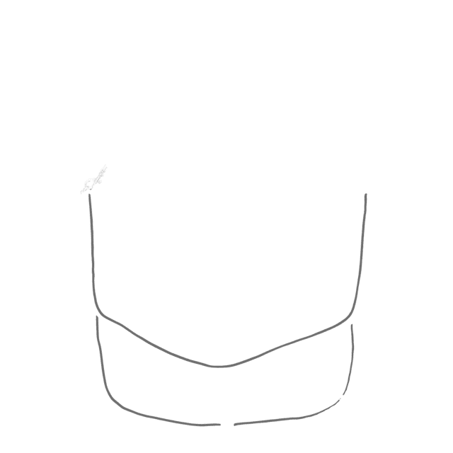 Exclusive Horsewear