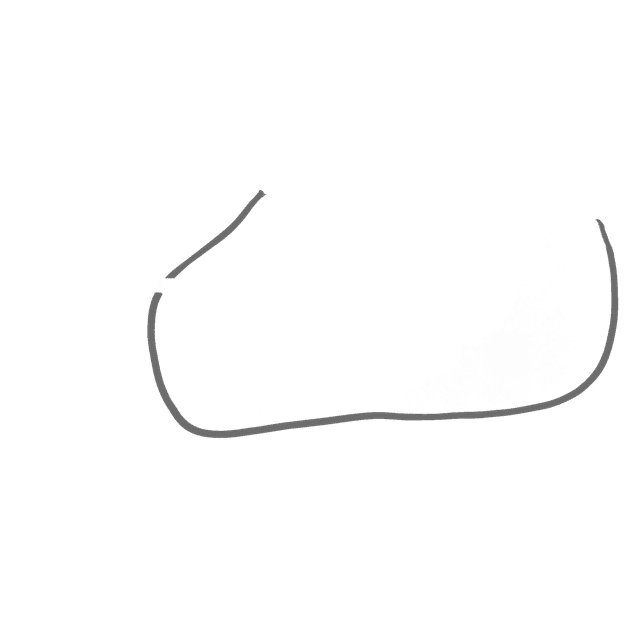 Exclusive Horsewear