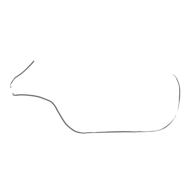 Exclusive Horsewear
