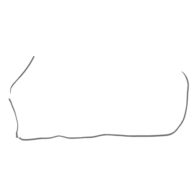 Exclusive Horsewear