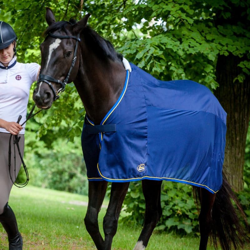 Exclusive Horsewear