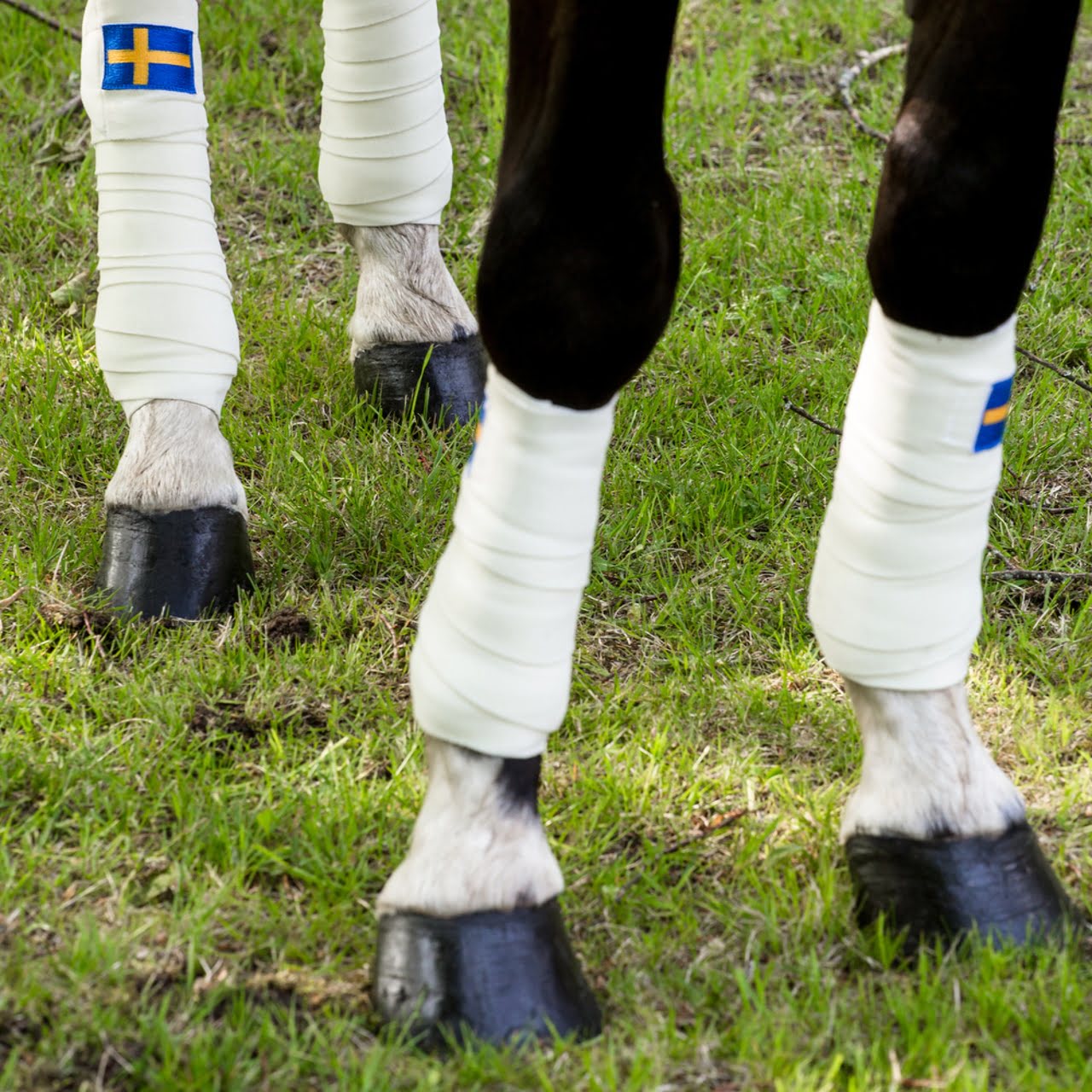 Exculsive Horseware på Björnöslott med tävlingstäcke Sweden