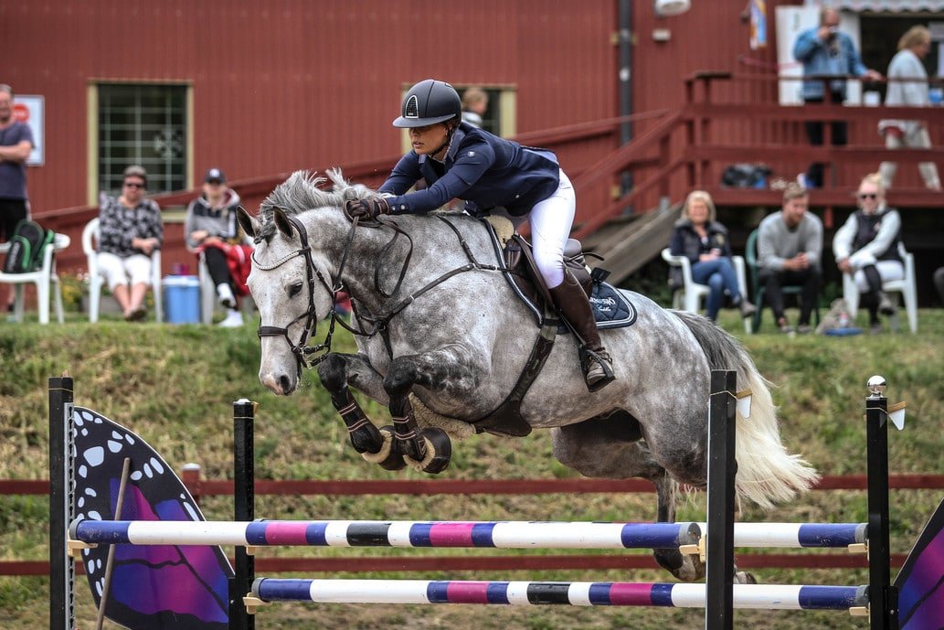 Exclusive Horsewear