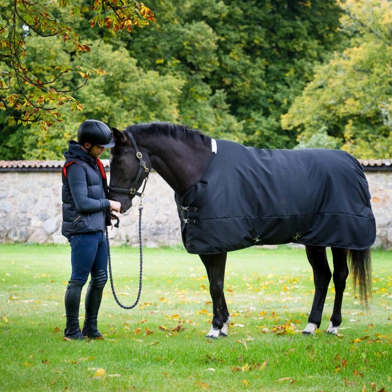 Exclusive Horsewear