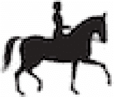 Exclusive Horsewear