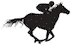 Exclusive Horsewear
