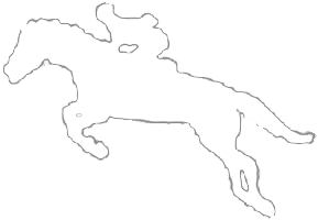 Exclusive Horsewear
