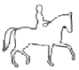 Exclusive Horsewear