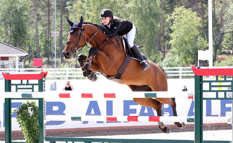 Exclusive Horsewear