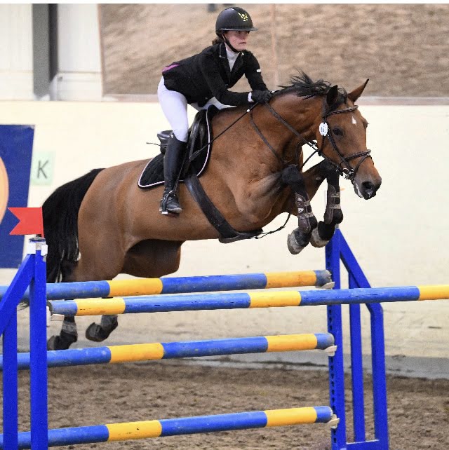 Exclusive Horsewear
