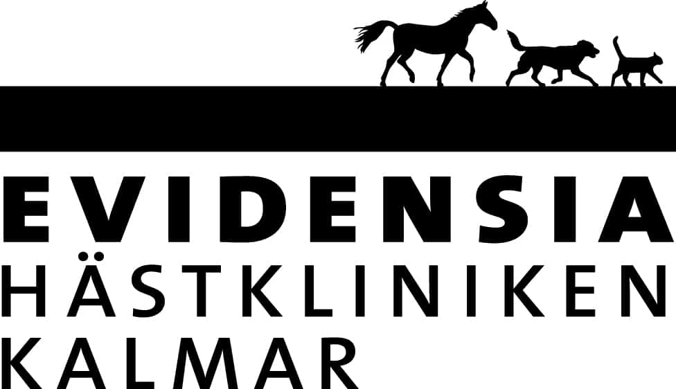 Exclusive Horsewear