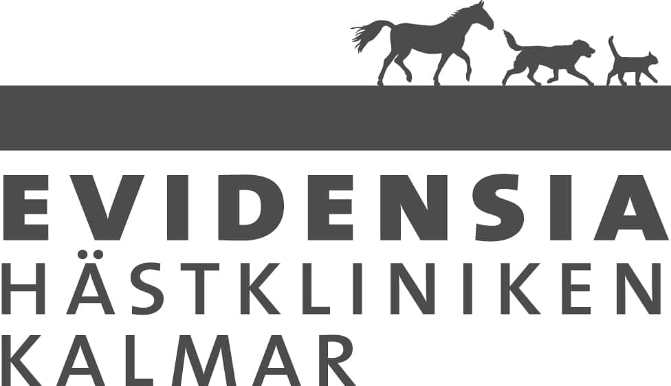 Exclusive Horsewear