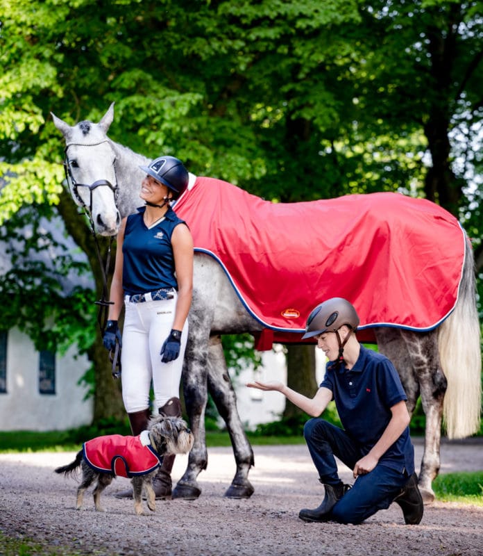 Exclusive Horsewear