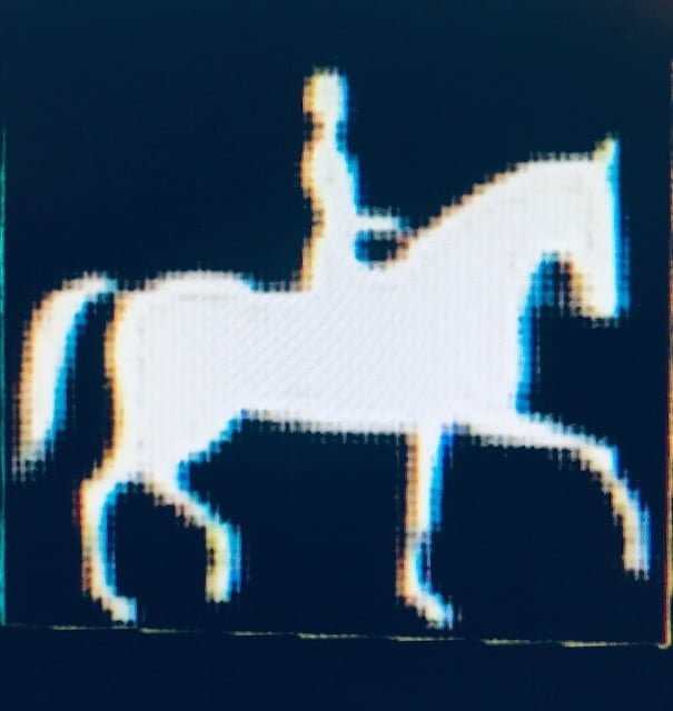 Exclusive Horsewear