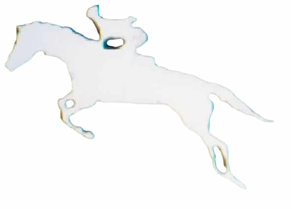 Exclusive Horsewear