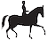 Exclusive Horsewear