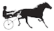Exclusive Horsewear