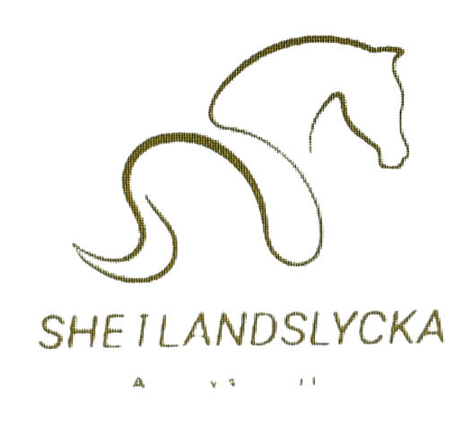 Exclusive Horsewear