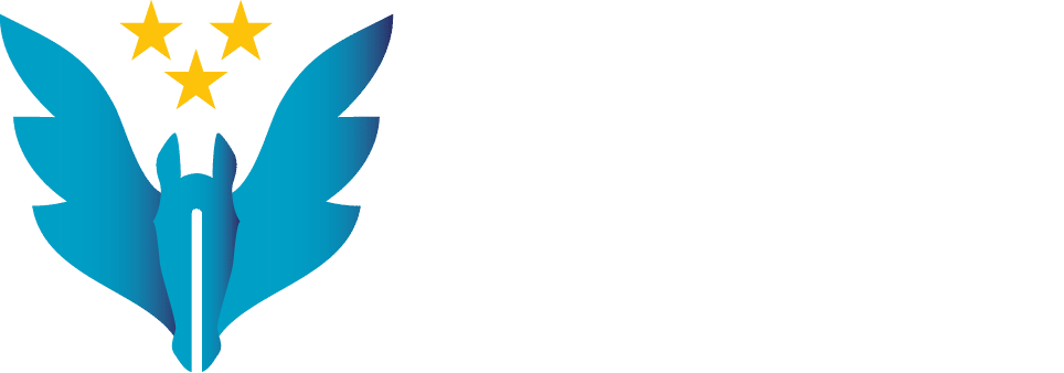 Exclusive Horsewear