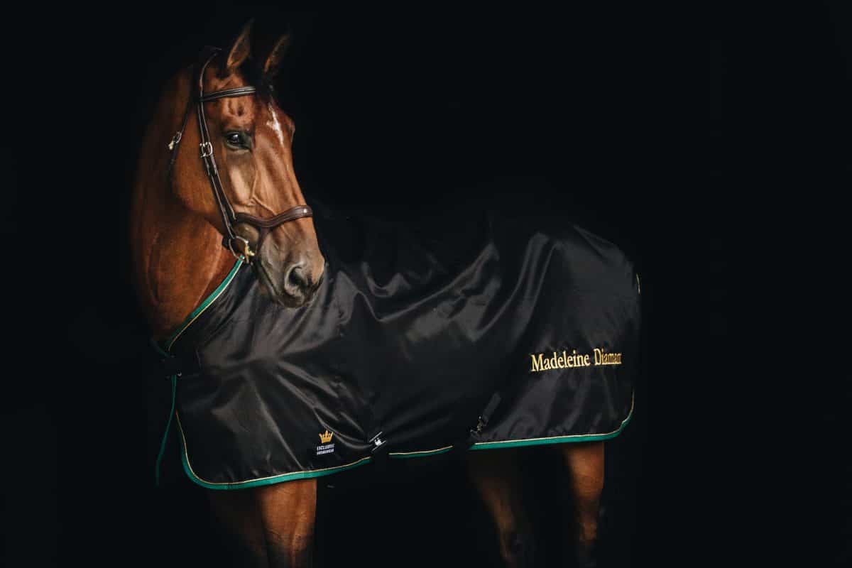 Exclusive Horsewear