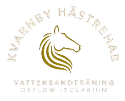Exclusive Horsewear